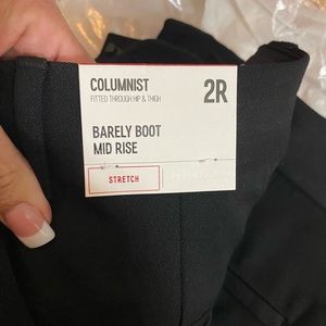 Express Columnist Pant